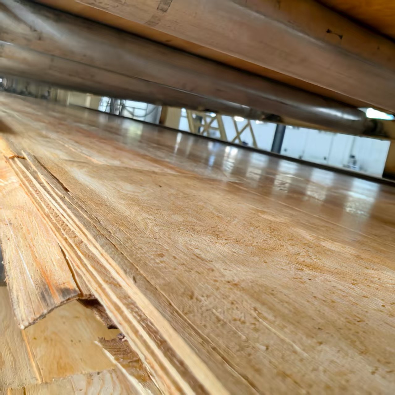 product-1279-1279 product-1279-1279